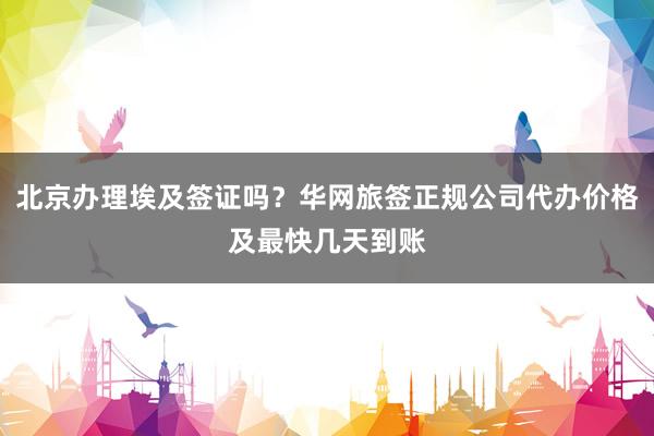 北京办理埃及签证吗？华网旅签正规公司代办价格及最快几天到账